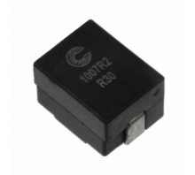 FP1007R2-R30-R 이미지