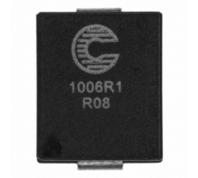 FP1006R1-R08-R 이미지