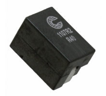 FP1107R2-R40-R 이미지